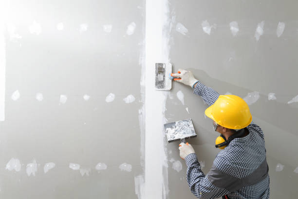 Trusted Clarkson Valley, MO Mold Removal Experts